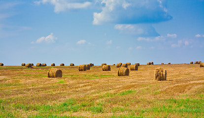 Image showing Hay bale in a field under a blue sky