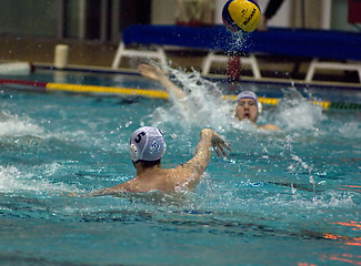 Image showing Dynamo(Moscow) vs Sintez (Kazan) of waterpolo