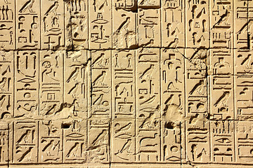 Image showing ancient egypt hieroglyphics in karnak temple