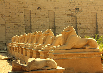 Image showing egypt statues of sphinx in karnak temple