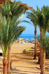 Image showing palm trees and tropical beach