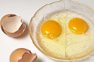 Image showing egg