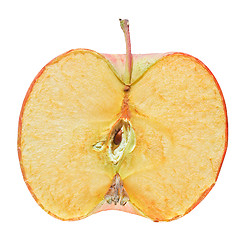 Image showing Apple fruit