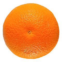 Image showing Orange fruit