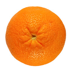 Image showing Orange fruit