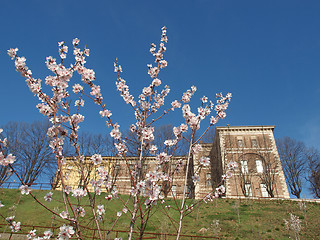 Image showing Castello di Rivoli, Italy