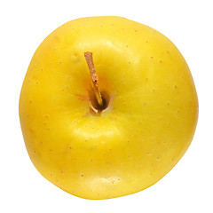 Image showing Yellow Apple