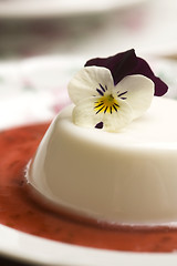 Image showing Vanilla panna cotta with berry sauce and spring flower
