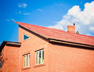 Image showing beautiful stork stand on roof