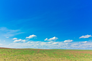 Image showing Green field