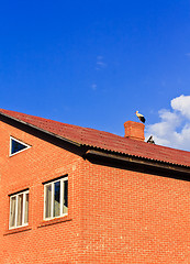 Image showing beautiful stork stand on roof