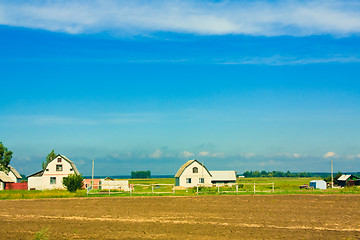 Image showing Country summer