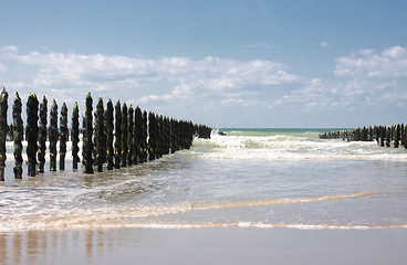 Image showing mussel sea on the coast of opal in France Bouchot