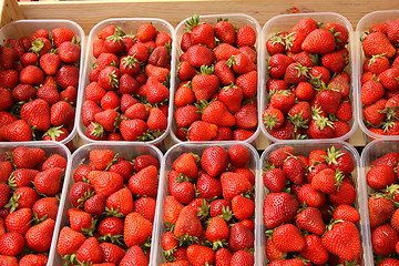 Image showing trays of beautiful red strawberries and ripe de France