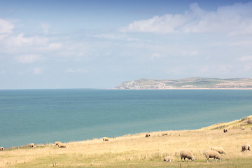 Image showing landscape of the Opal Coast in France