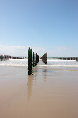 Image showing mussel sea on the coast of opal in France Bouchot