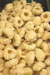 Image showing garlic on market 