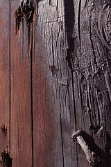 Image showing Burnt Wood with Nail