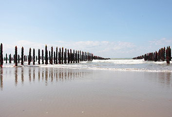 Image showing mussel sea on the coast of opal in France Bouchot