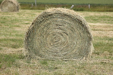 Image showing rural landscape, bales of hay in a field in spring