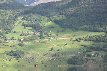 Image showing Wonderful fjord greens of norway in spring