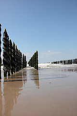 Image showing mussel sea on the coast of opal in France Bouchot