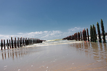 Image showing mussel sea on the coast of opal in France Bouchot