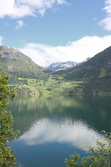 Image showing Wonderful fjord greens of norvege in spring