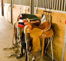 Image showing Saddles