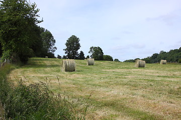 Image showing rural landscape, bales of hay in a field in spring