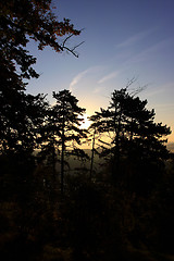 Image showing daybreak in the mist of the valley of the Seine