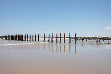 Image showing mussel sea on the coast of opal in France Bouchot