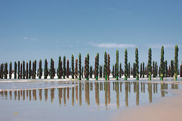 Image showing mussel sea on the coast of opal in France Bouchot