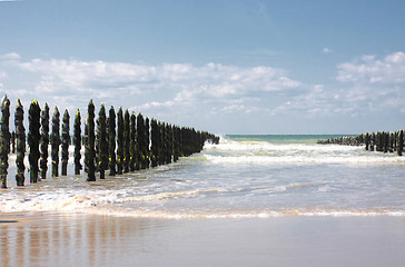 Image showing mussel sea on the coast of opal in France Bouchot