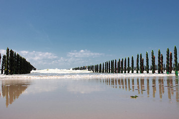 Image showing mussel sea on the coast of opal in France Bouchot