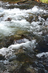 Image showing Big waterfall in a fjord it norvege in spring