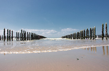 Image showing mussel sea on the coast of opal in France Bouchot
