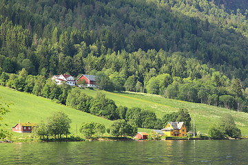 Image showing Wonderful fjord greens of norvege in spring