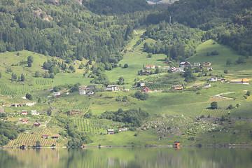 Image showing Wonderful fjord greens of norvege in spring