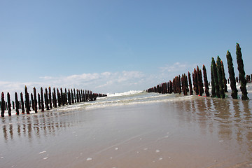 Image showing mussel sea on the coast of opal in France Bouchot