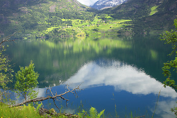 Image showing Wonderful fjord greens of norvege in spring