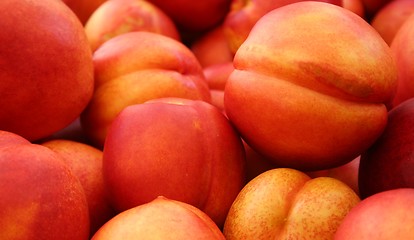 Image showing Nectarines