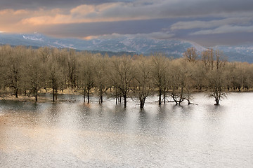 Image showing Wetlands at Columbia River Gorge