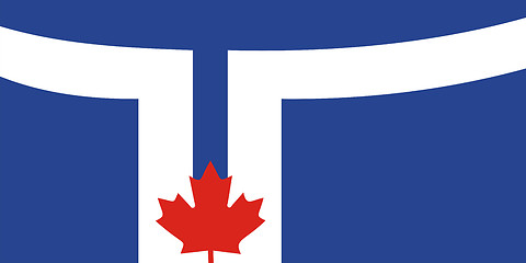 Image showing toronto flag