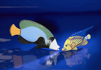 Image showing deco fishes