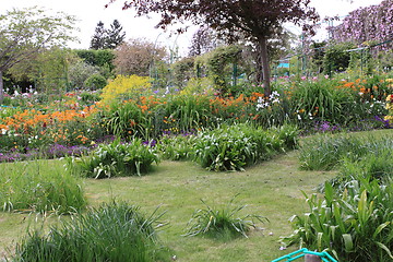 Image showing flower garden in spring