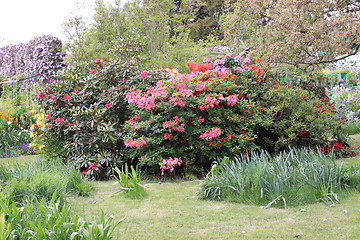 Image showing flower garden in spring