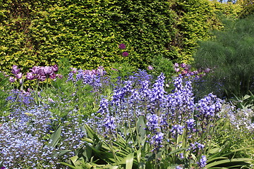 Image showing flower garden in spring