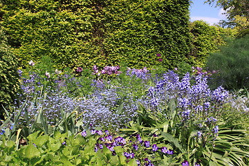 Image showing flower garden in spring