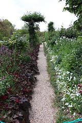 Image showing flower garden in spring